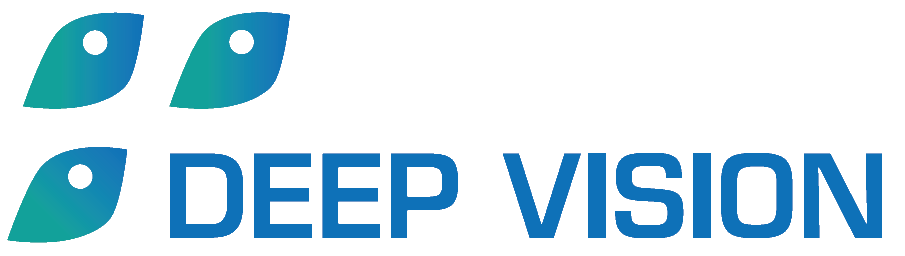 Deep Vision logo